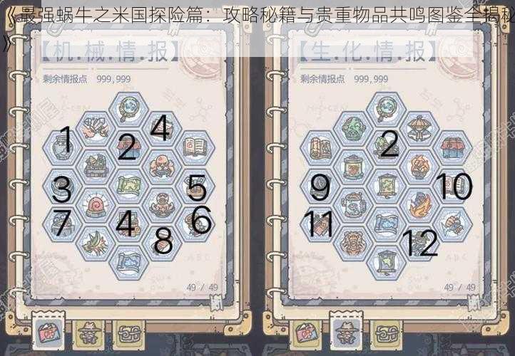 《最强蜗牛之米国探险篇:攻略秘籍与贵重物品共鸣图鉴全揭秘》