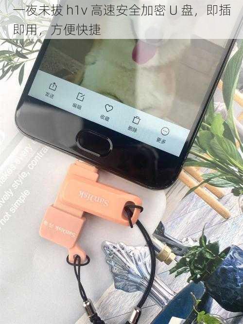 一夜未拔 h1v 高速安全加密 U 盘,即插即用,方便快捷