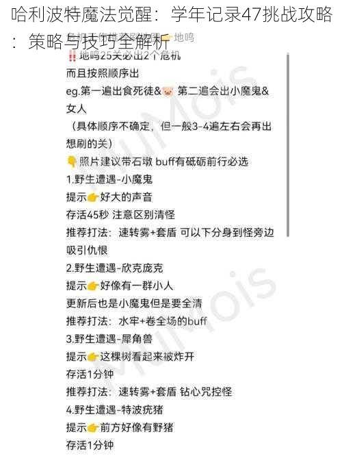 哈利波特魔法觉醒:学年记录47挑战攻略:策略与技巧全解析
