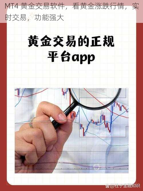 MT4 黄金交易软件,看黄金涨跌行情,实时交易,功能强大