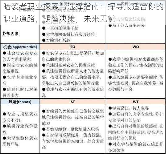 暗袭者职业探索与选择指南:探寻最适合你的职业道路,明智决策,未来无忧