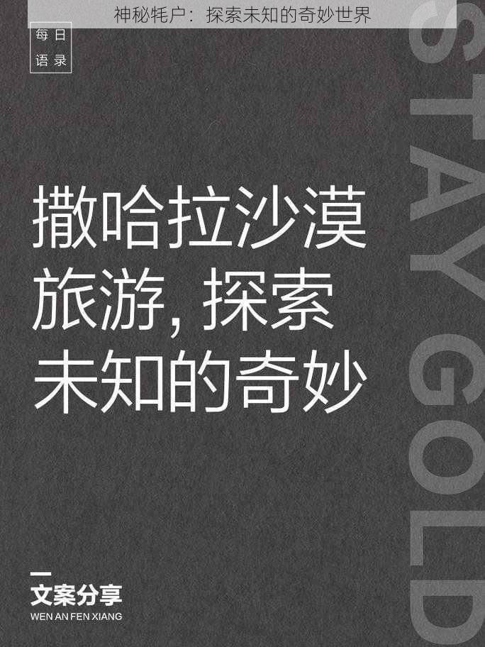 神秘牦户:探索未知的奇妙世界