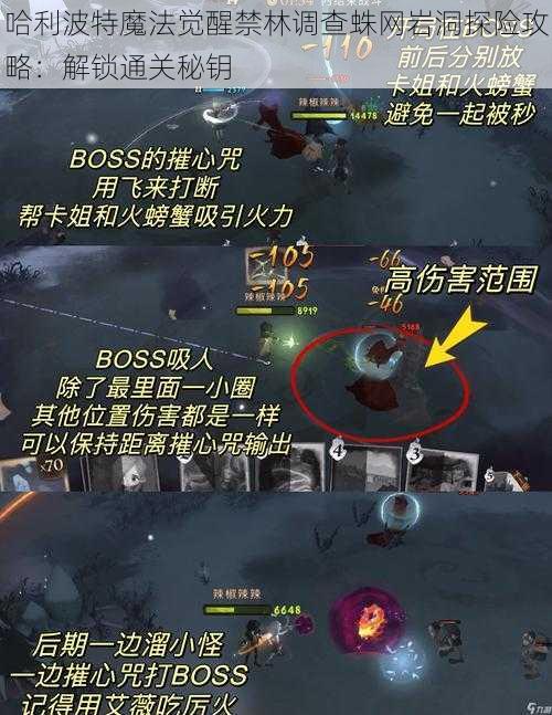 哈利波特魔法觉醒禁林调查蛛网岩洞探险攻略:解锁通关秘钥