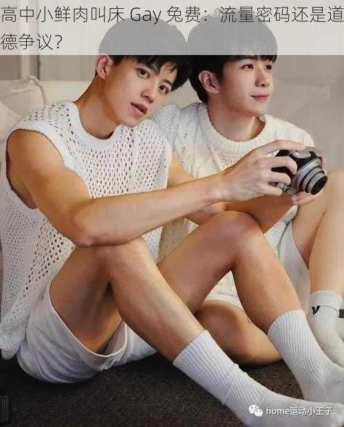 高中小鲜肉叫床 Gay 兔费:流量密码还是道德争议?