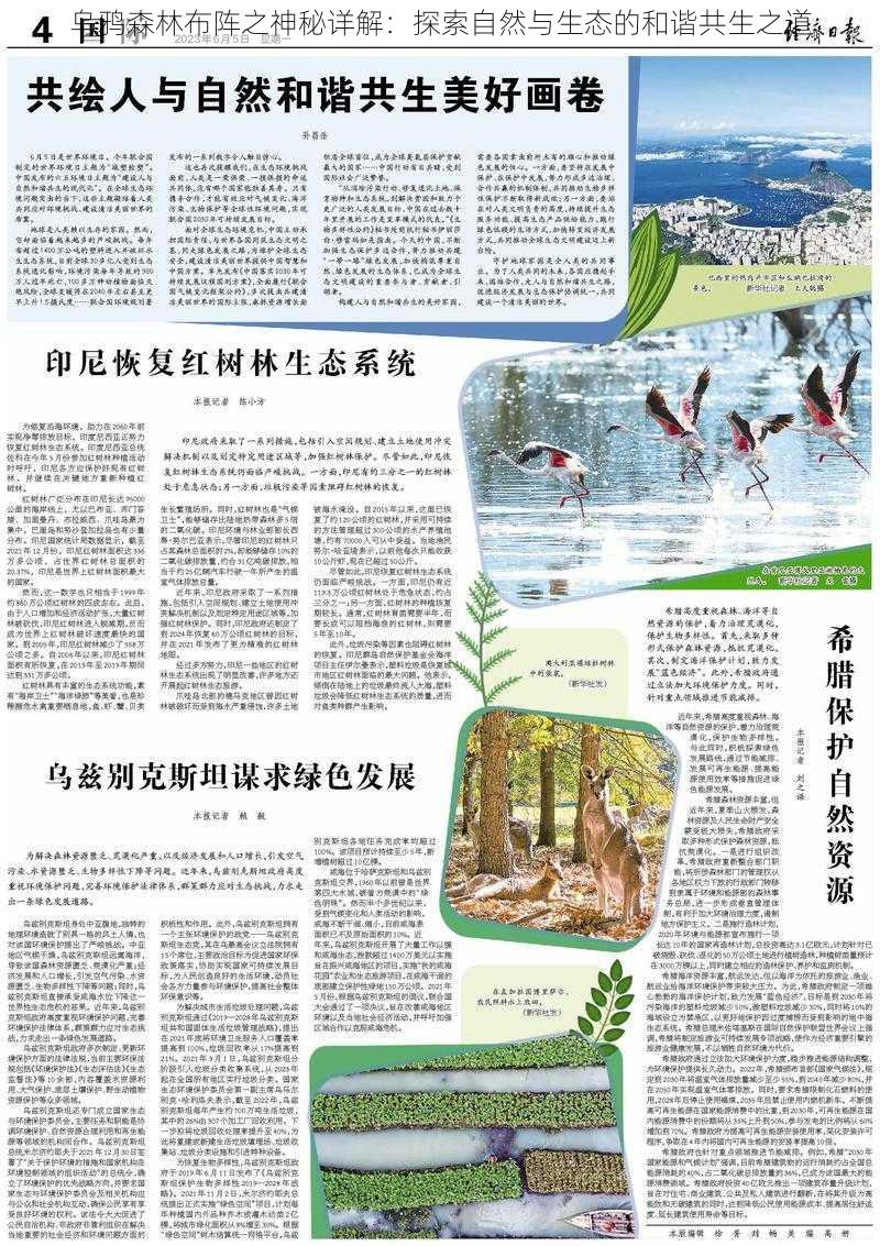 乌鸦森林布阵之神秘详解:探索自然与生态的和谐共生之道