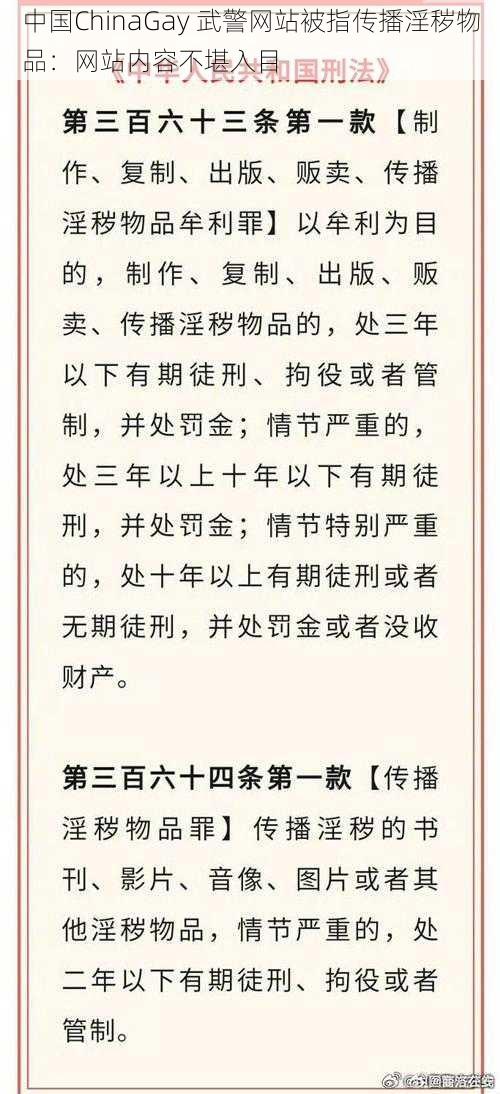 中国ChinaGay 武警网站被指传播淫秽物品:网站内容不堪入目