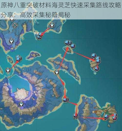 原神八重突破材料海灵芝快速采集路线攻略分享:高效采集秘籍揭秘