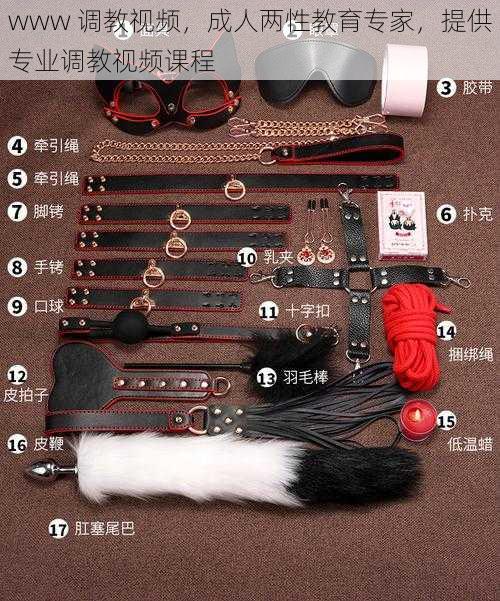 www 调教视频,成人两性教育专家,提供专业调教视频课程