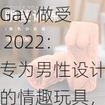 Gay 做受 2022:专为男性设计的情趣玩具,让你享受极致快感