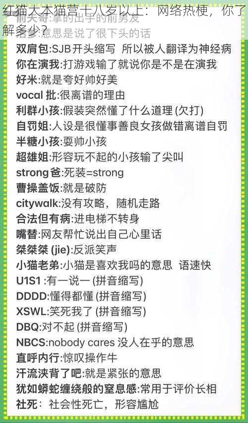 红猫大本猫营十八岁以上:网络热梗,你了解多少?