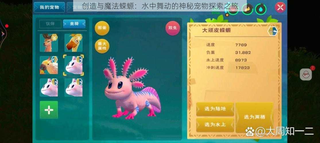 创造与魔法蝾螈:水中舞动的神秘宠物探索之旅
