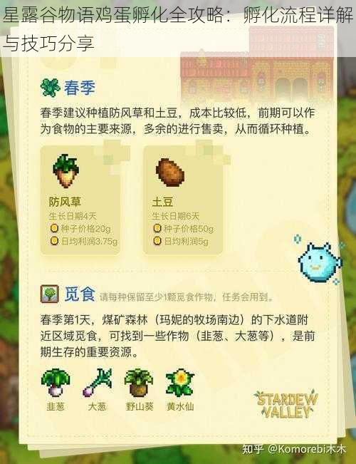 星露谷物语鸡蛋孵化全攻略:孵化流程详解与技巧分享