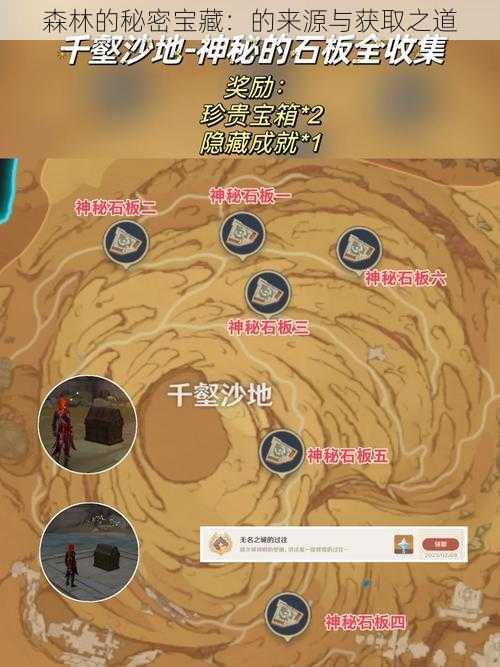 森林的秘密宝藏:的来源与获取之道