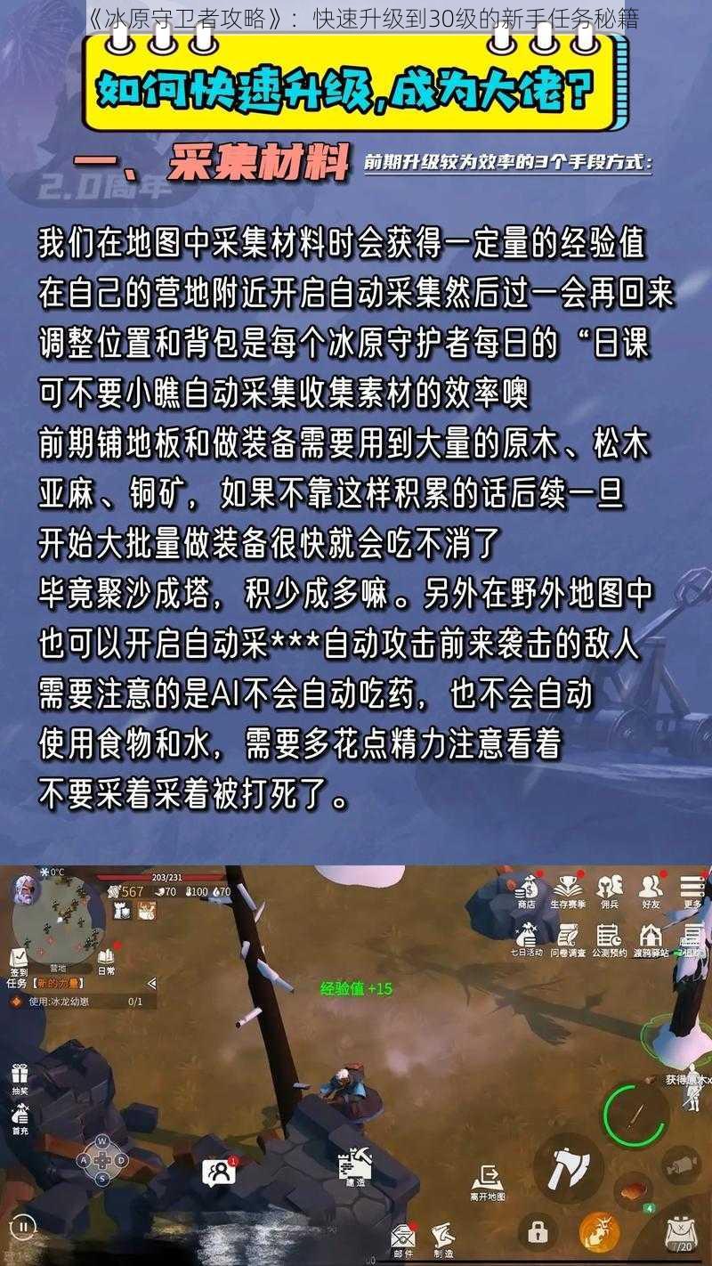 《冰原守卫者攻略》:快速升级到30级的新手任务秘籍