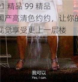 91 精品 99 精品国产高清色约约,让你的视觉享受更上一层楼