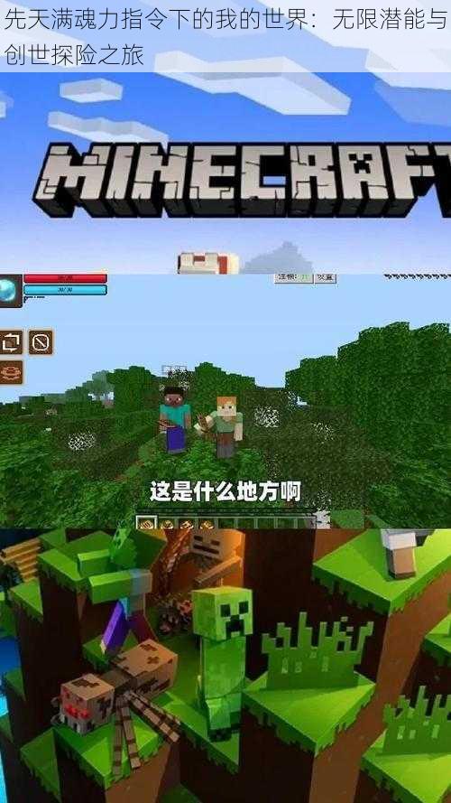 先天满魂力指令下的我的世界:无限潜能与创世探险之旅