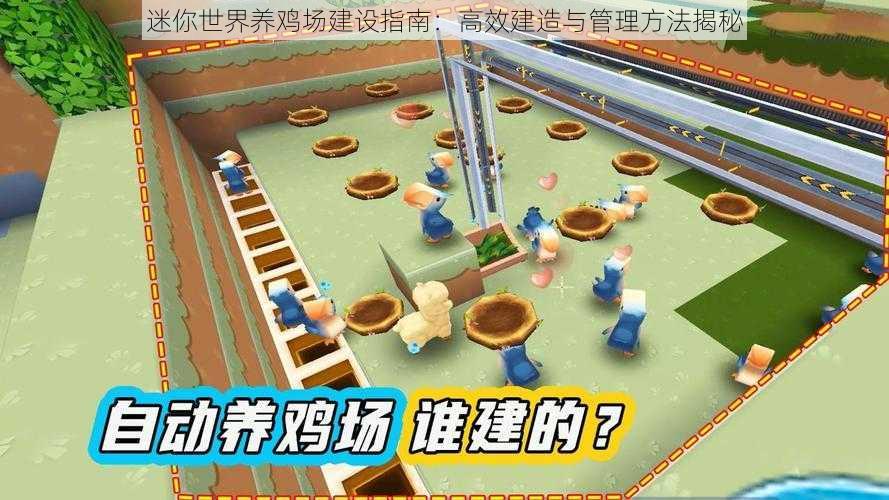 迷你世界养鸡场建设指南:高效建造与管理方法揭秘