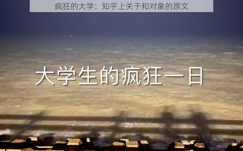 疯狂的大学:知乎上关于和对象的原文