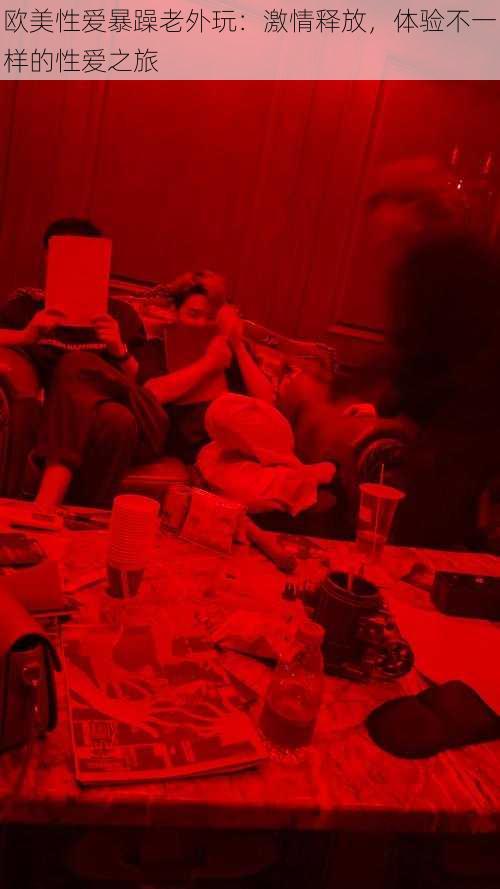 欧美性爱暴躁老外玩:激情释放,体验不一样的性爱之旅