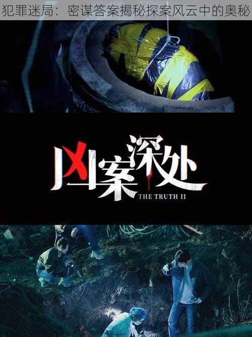 犯罪迷局:密谋答案揭秘探案风云中的奥秘
