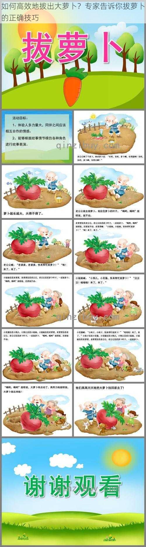 如何高效地拔出大萝卜?专家告诉你拔萝卜的正确技巧