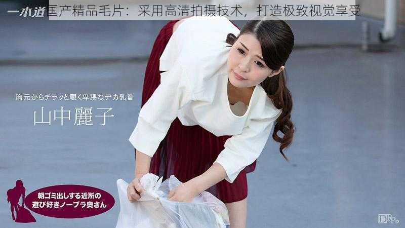 国产精品毛片:采用高清拍摄技术,打造极致视觉享受