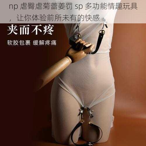 np 虐臀虐菊蕾姜罚 sp 多功能情趣玩具,让你体验前所未有的快感