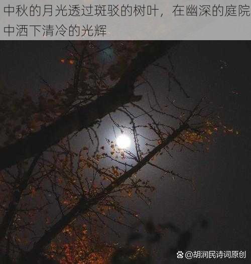 中秋的月光透过斑驳的树叶,在幽深的庭院中洒下清冷的光辉