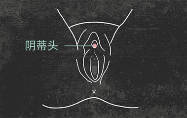 女人大荫蒂毛森林高清图片——女性私密部位护理必备