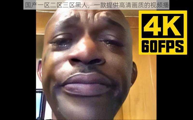 EEUSS 国产一区二区三区黑人,一款提供高清画质的视频播放 APP