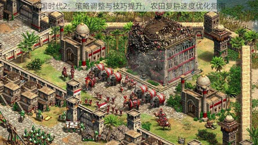 帝国时代2:策略调整与技巧提升,农田复耕速度优化指南