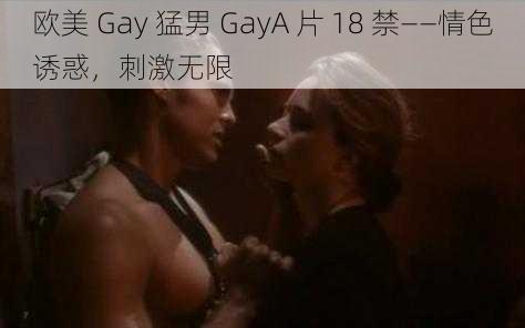 欧美 Gay 猛男 GayA 片 18 禁——情色诱惑,刺激无限
