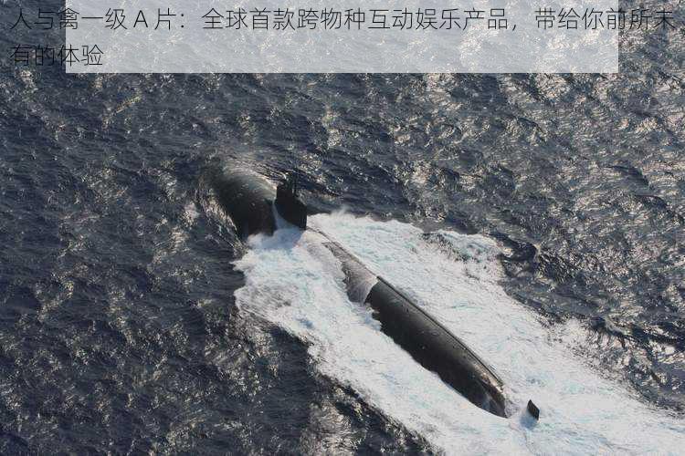 人与禽一级 A 片:全球首款跨物种互动娱乐产品,带给你前所未有的体验