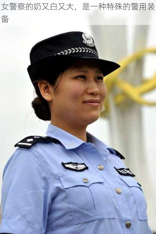 女警察的奶又白又大,是一种特殊的警用装备