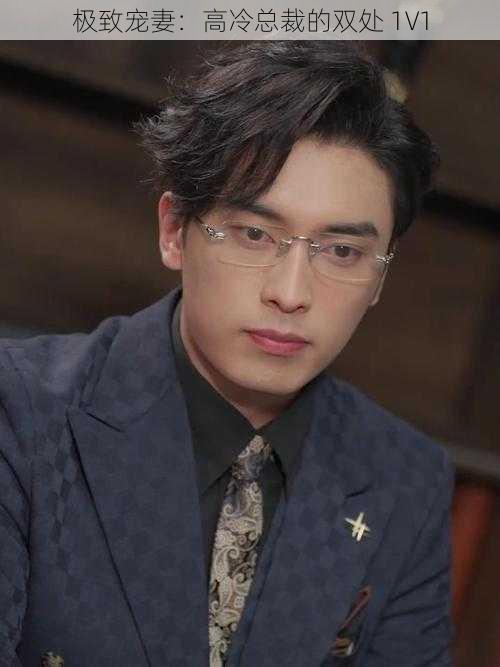 极致宠妻:高冷总裁的双处 1V1
