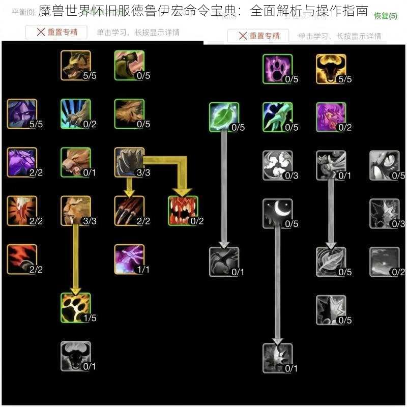 魔兽世界怀旧服德鲁伊宏命令宝典:全面解析与操作指南