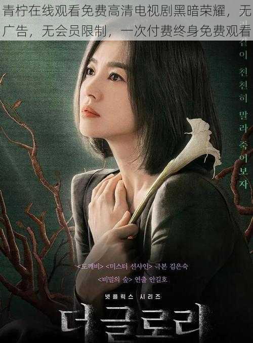青柠在线观看免费高清电视剧黑暗荣耀,无广告,无会员限制,一次付费终身免费观看