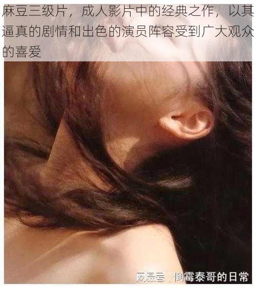 麻豆三级片,成人影片中的经典之作,以其逼真的剧情和出色的演员阵容受到广大观众的喜爱