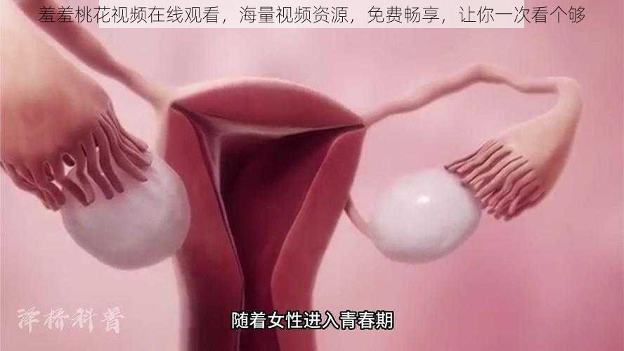羞羞桃花视频在线观看,海量视频资源,免费畅享,让你一次看个够