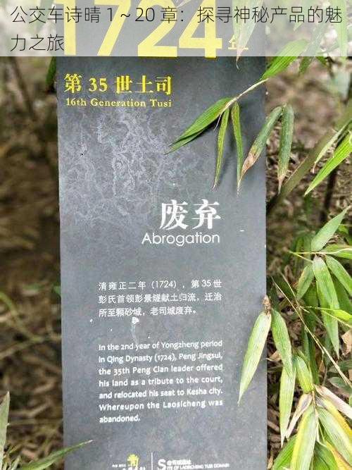 公交车诗晴 1~20 章:探寻神秘产品的魅力之旅
