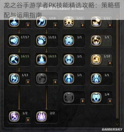 龙之谷手游学者PK技能精选攻略:策略搭配与运用指南