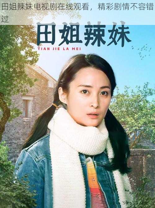 田姐辣妹电视剧在线观看,精彩剧情不容错过