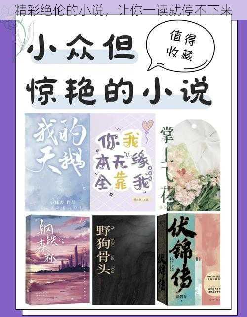 精彩绝伦的小说,让你一读就停不下来