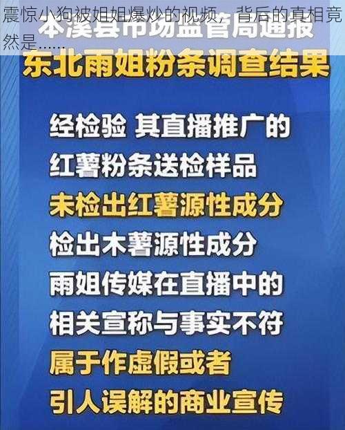 震惊小狗被姐姐爆炒的视频,背后的真相竟然是……