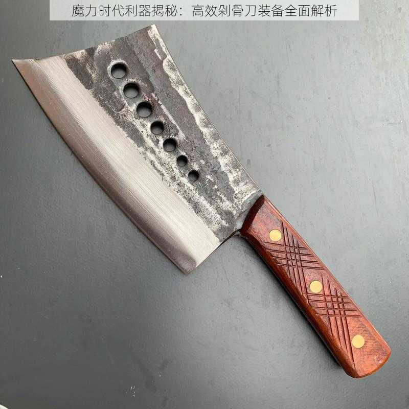 魔力时代利器揭秘:高效剁骨刀装备全面解析