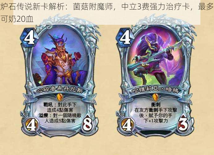 炉石传说新卡解析：菌菇附魔师，中立3费强力治疗卡，最多可奶20血