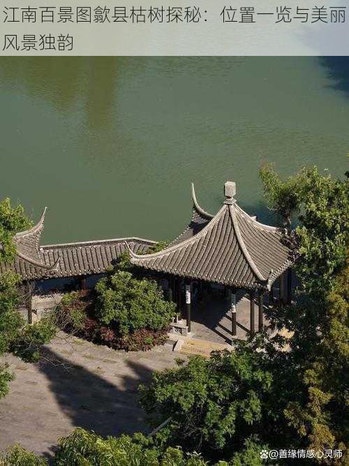 江南百景图歙县枯树探秘:位置一览与美丽风景独韵