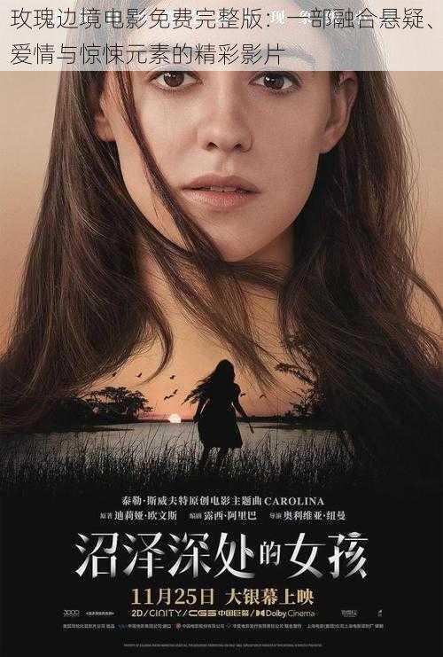 玫瑰边境电影免费完整版:一部融合悬疑、爱情与惊悚元素的精彩影片