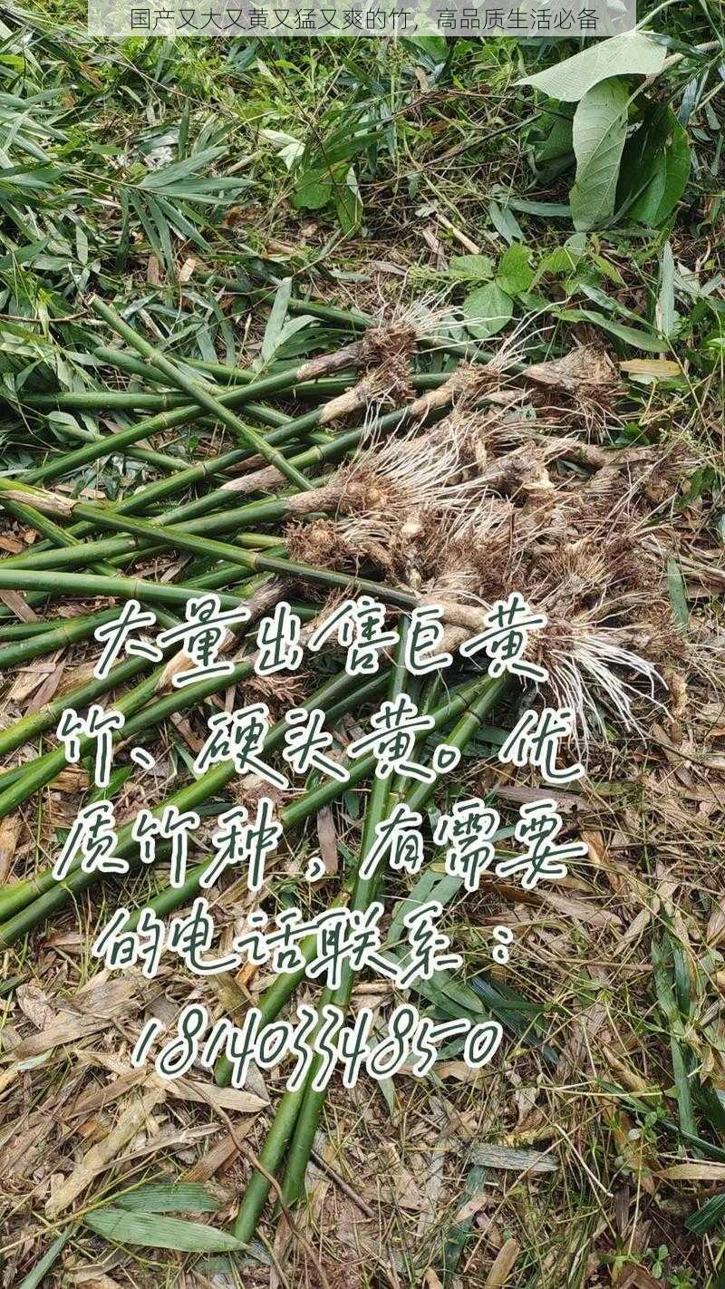 国产又大又黄又猛又爽的竹,高品质生活必备