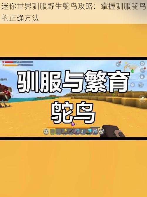 迷你世界驯服野生鸵鸟攻略:掌握驯服鸵鸟的正确方法